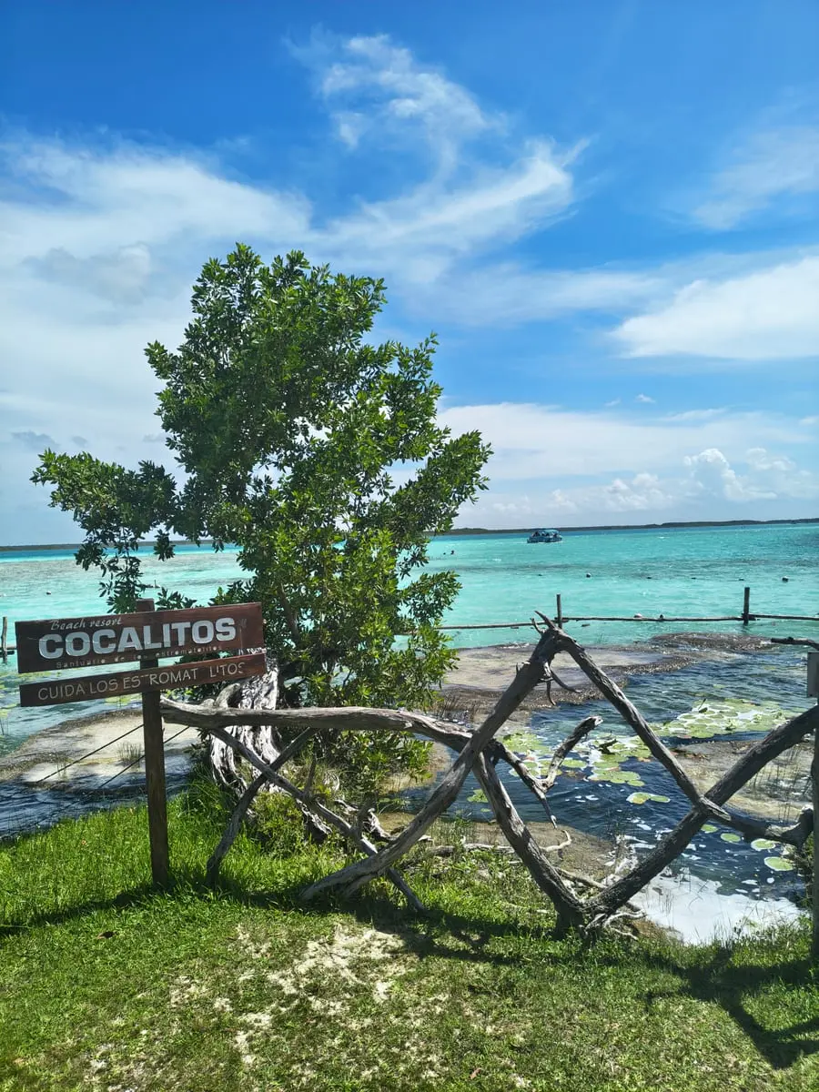 Cenote Cocalitos Santuario de los Estromatolitos
