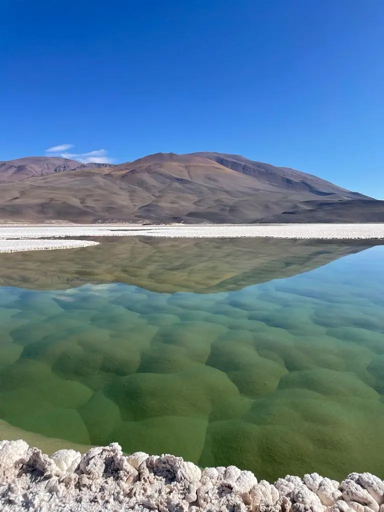 Laguna Socompa (Chile / Argentina)