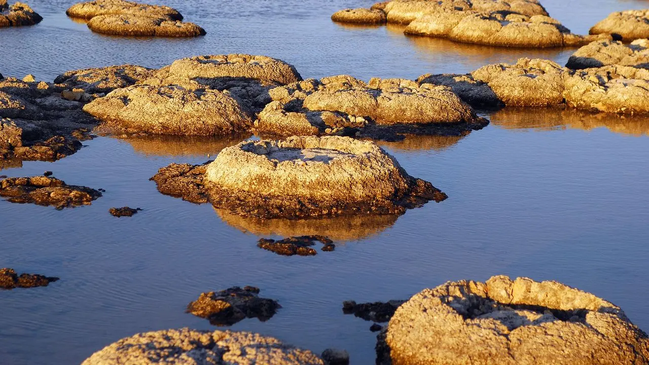 Lake Clifton (Australia Occidental)